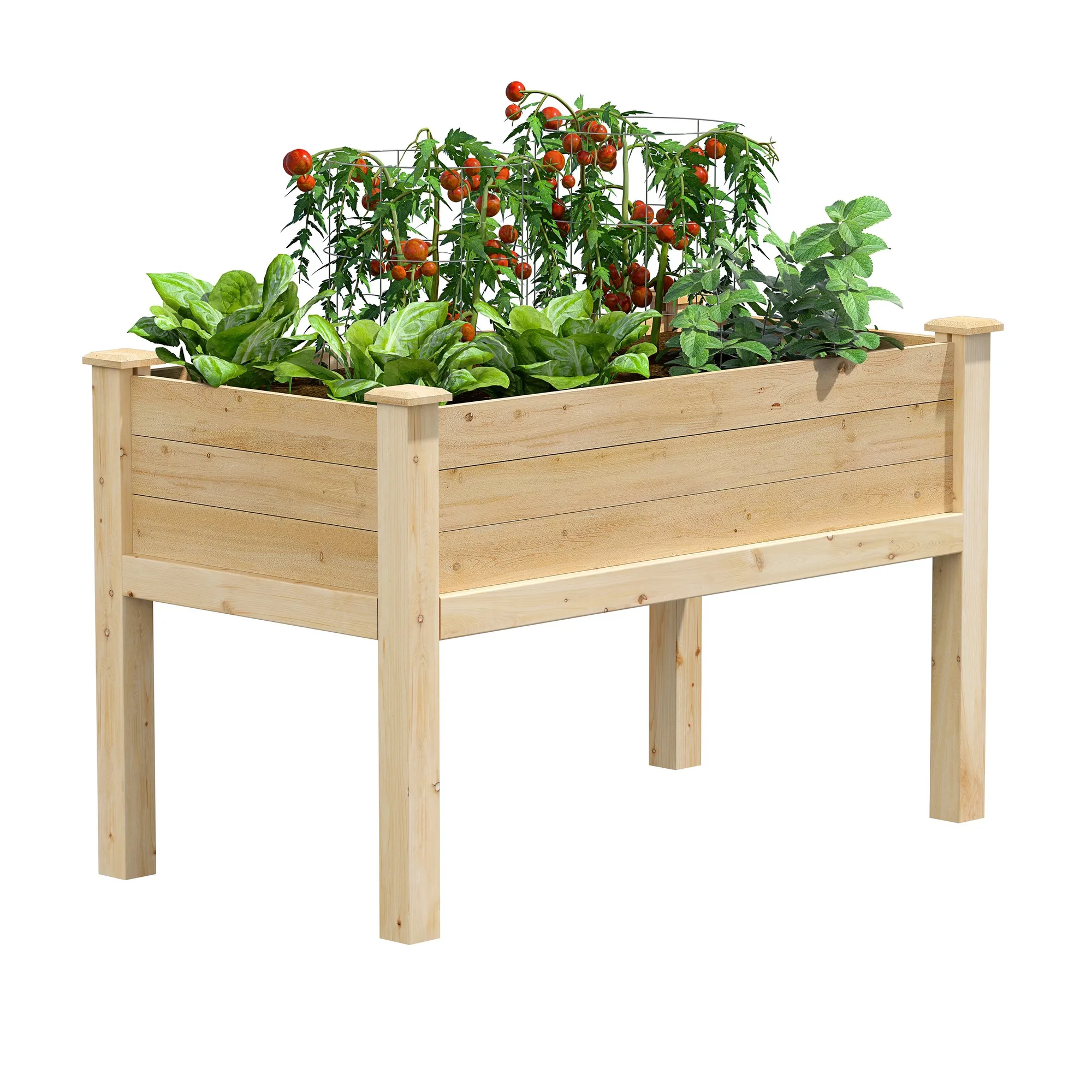 Premium / Original Cedar Elevated Garden Bed 24 in x 48 in x 31 in (3/4 in Thick or 11/16 in Thick) RCEV2448 RCEV2448NF