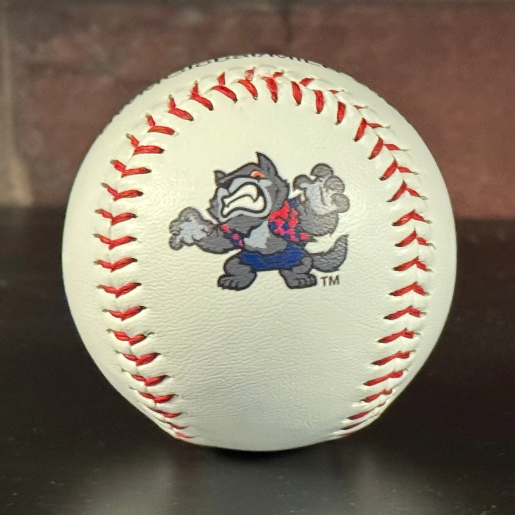 Cómo exhibir y cuidar una pelota de béisbol con logotipo