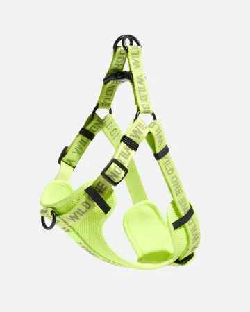 How to Choose the Right Material for Your Dog's Collar: A Complete Guide
