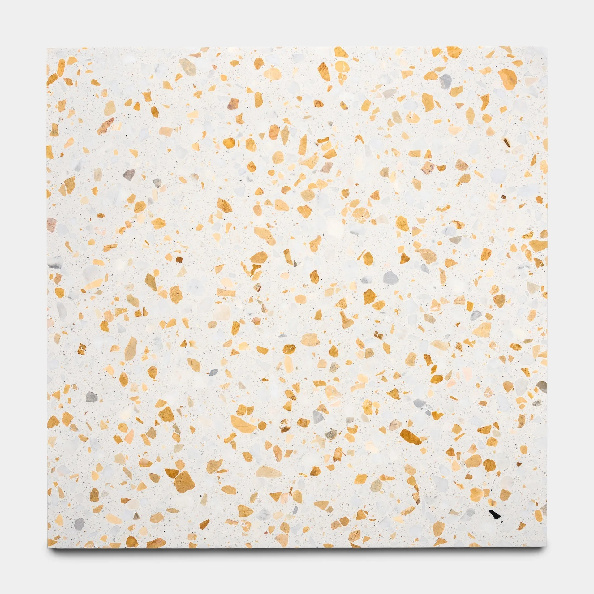 Tamarisk 24x24