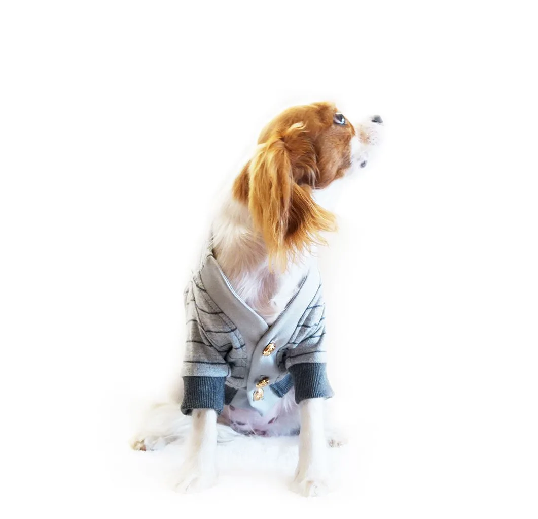 Leash Training 101: How to Choose the Right Leash for Your Dog's Walking Style