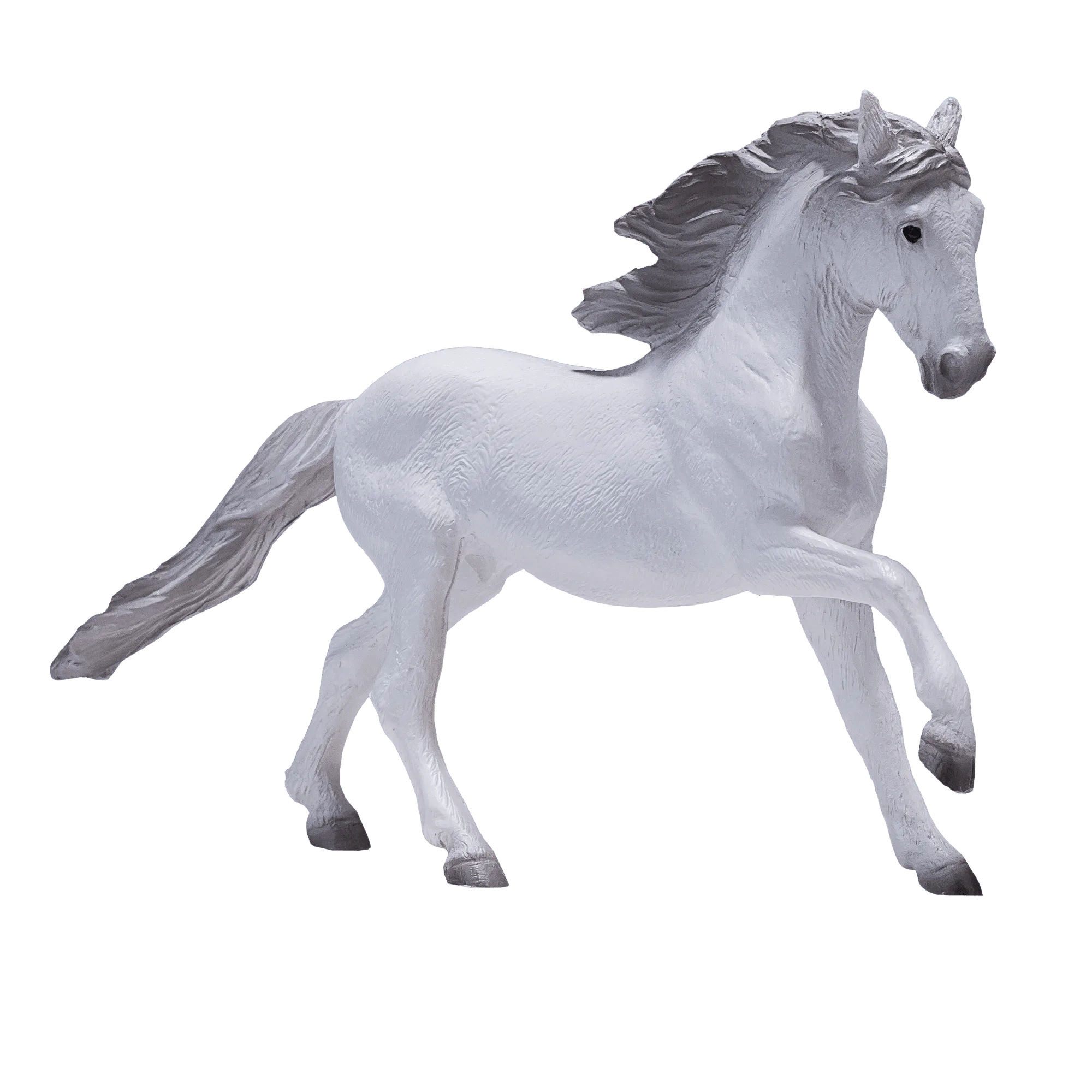 Lusitano Grey