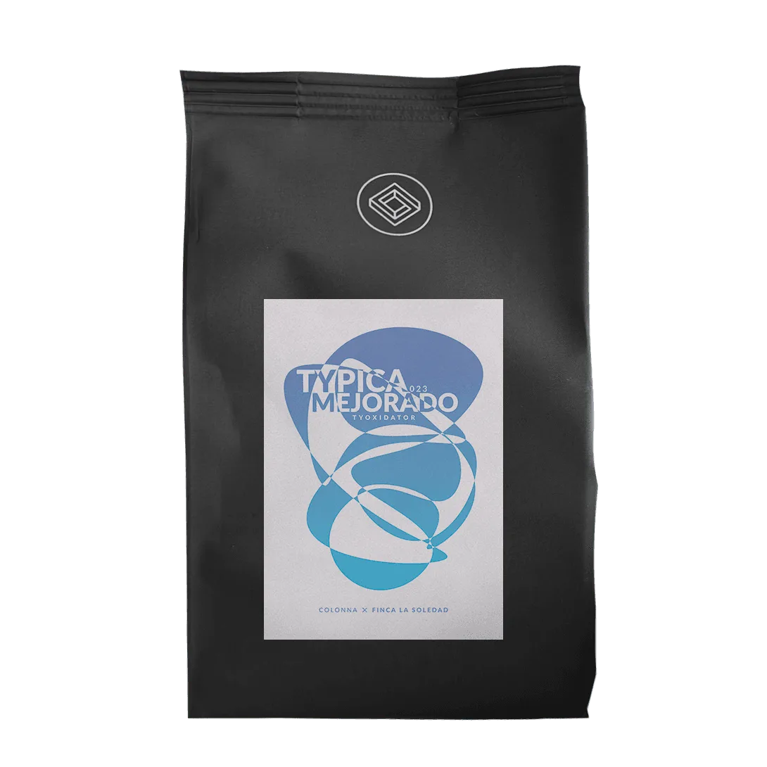 Gesha vs Typica: Which Rare Coffee Bean Should You Try?