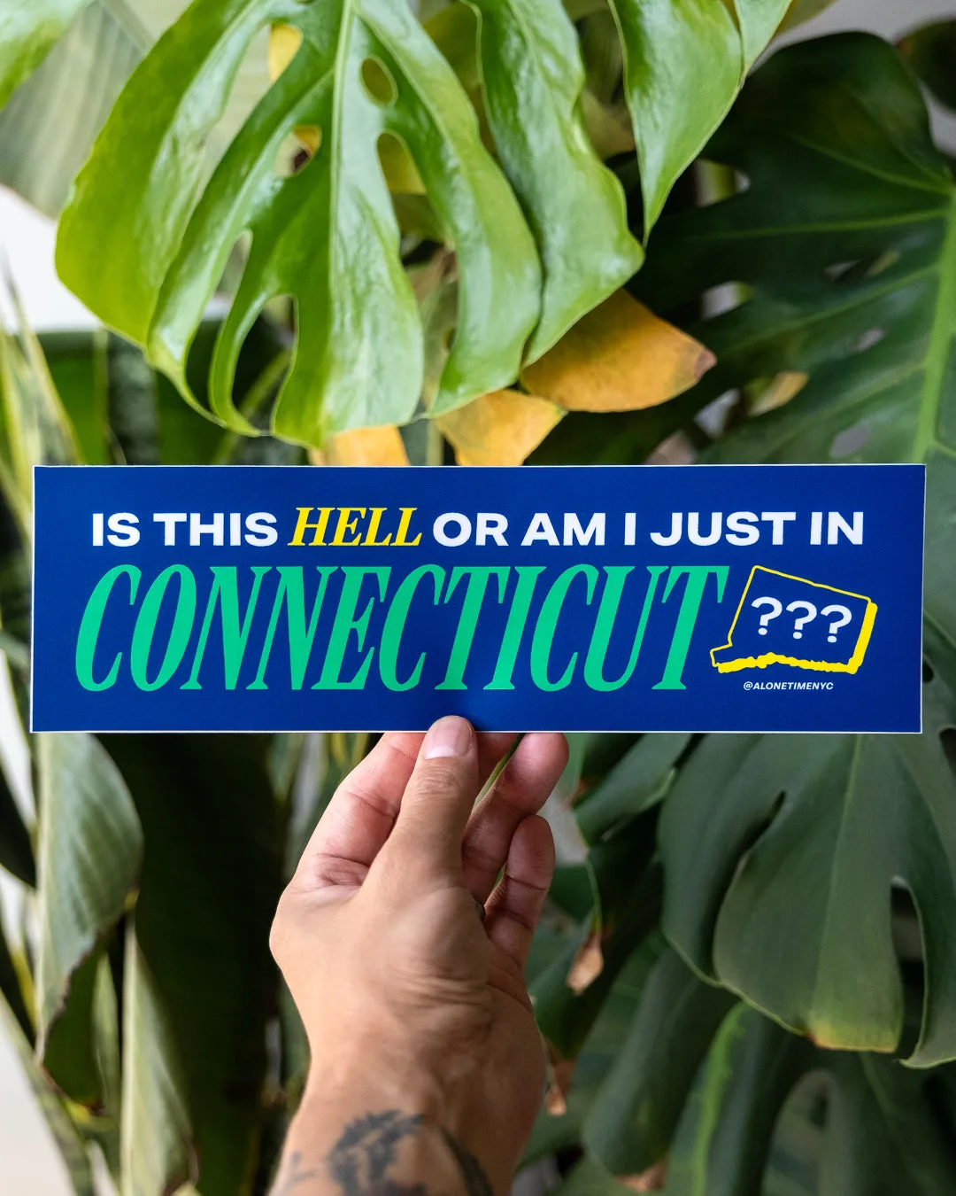 Is this HELL or am I just in Connecticut??? - Vinyl Bumper Sticker - 10" x 3"