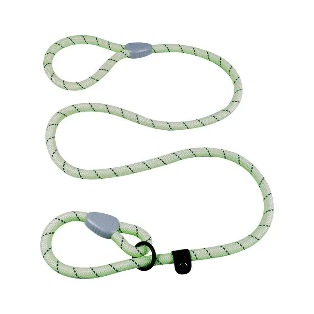 How to Choose a Reflective Dog Lead for Night Walks