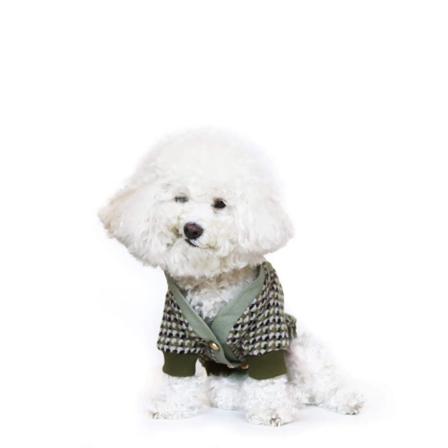Cardigan vs Bear Coat: Which Dog Sweater Style Is Best for Cold Weather?