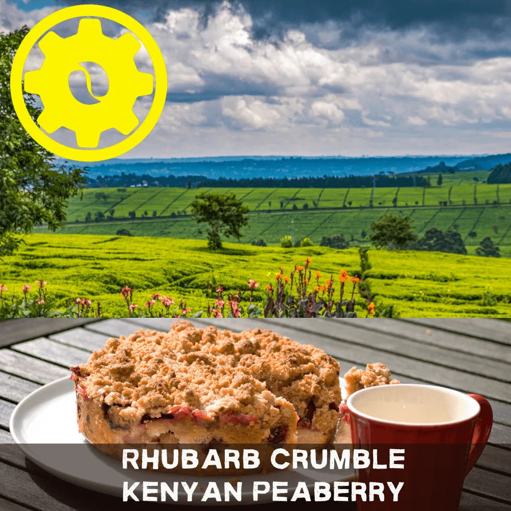 Guide d'achat du café Kenyan Peaberry au crumble de rhubarbe