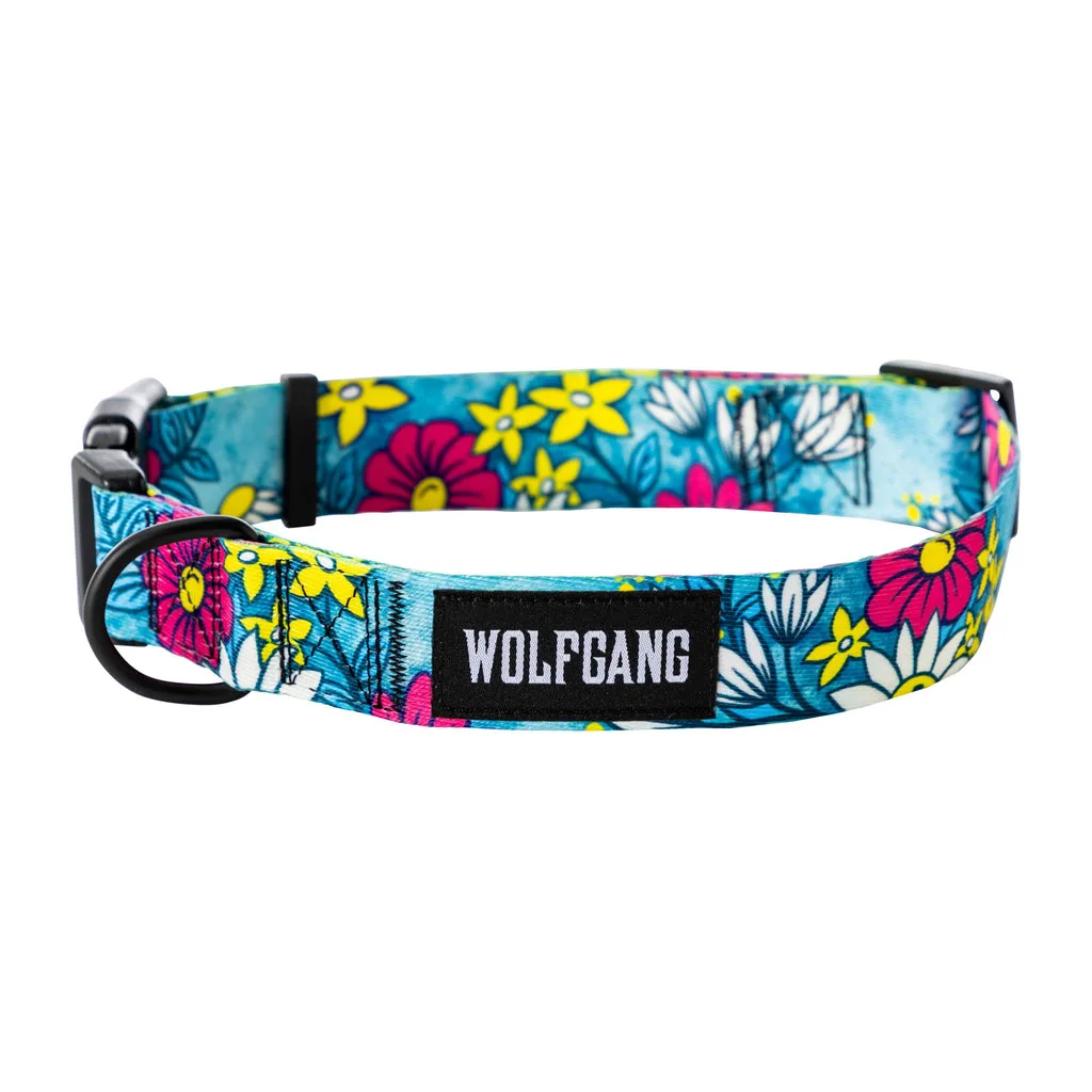 LazyDaisy Wide Dog Collar