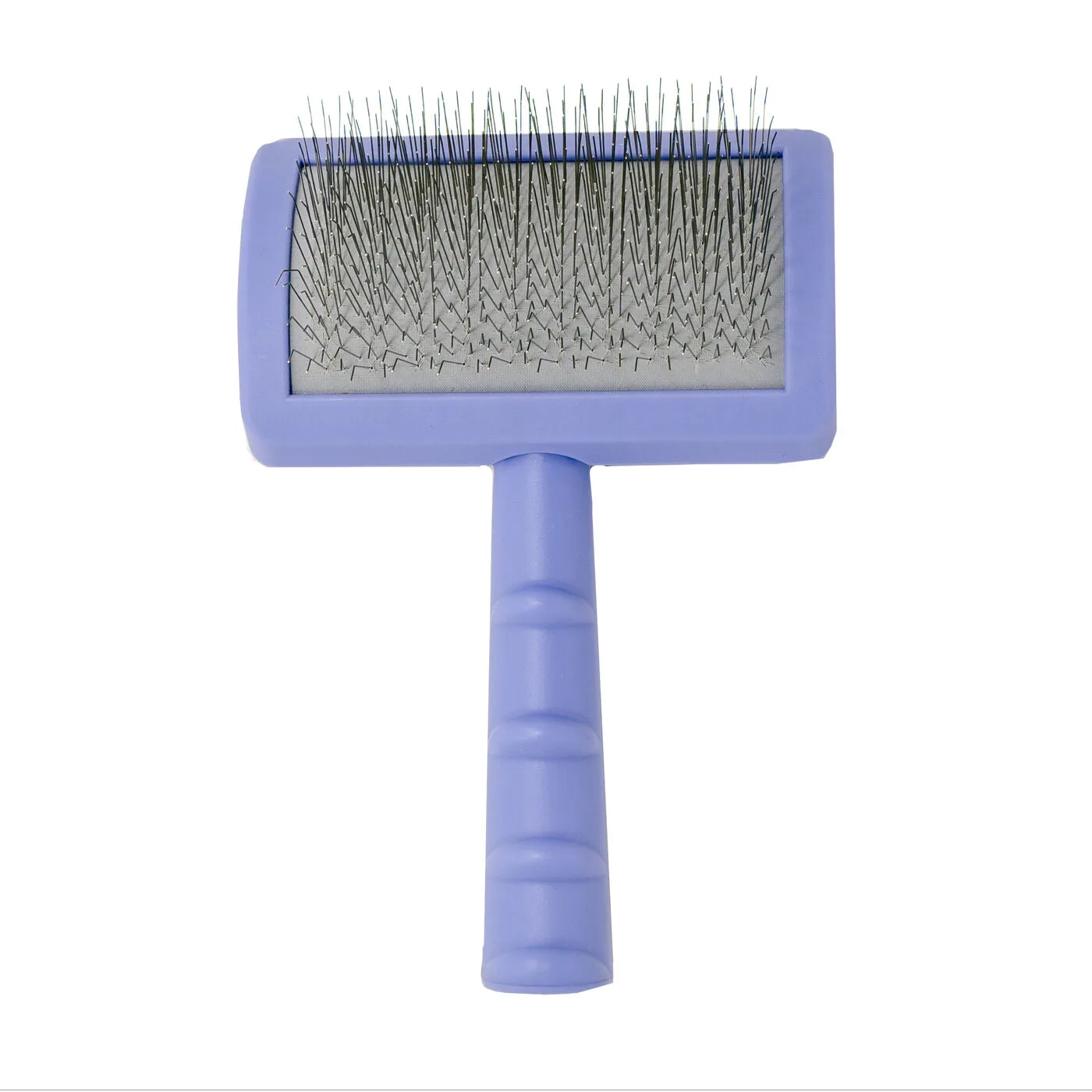 Comment utiliser une brosse démêlante en plastique sur les chiens à poils bouclés