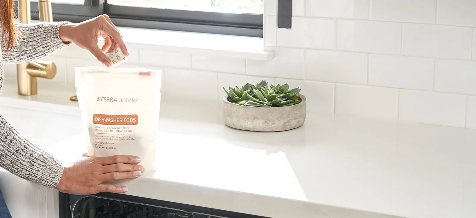 abode Dishwasher Pods