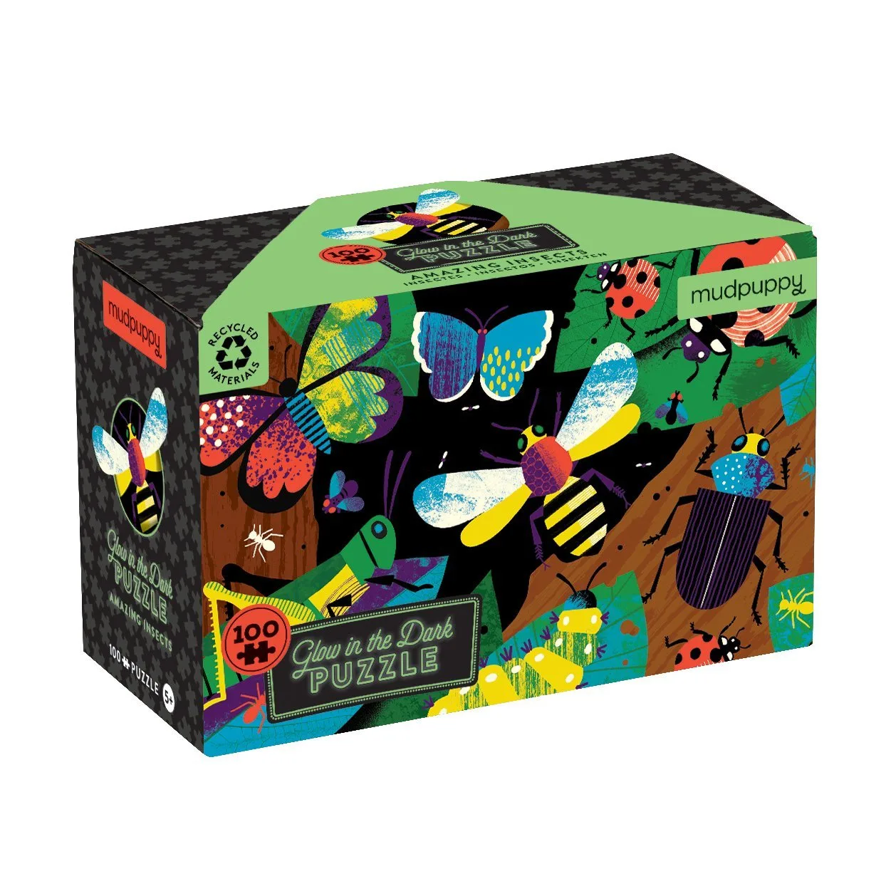 Amazing Insects Glow Puzzle: Fun Science Activity