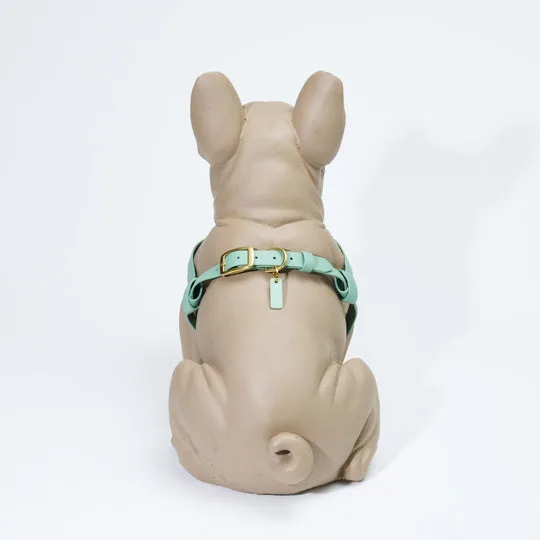 Sådan bruger du en crossbody hundesnor til daglige gåture