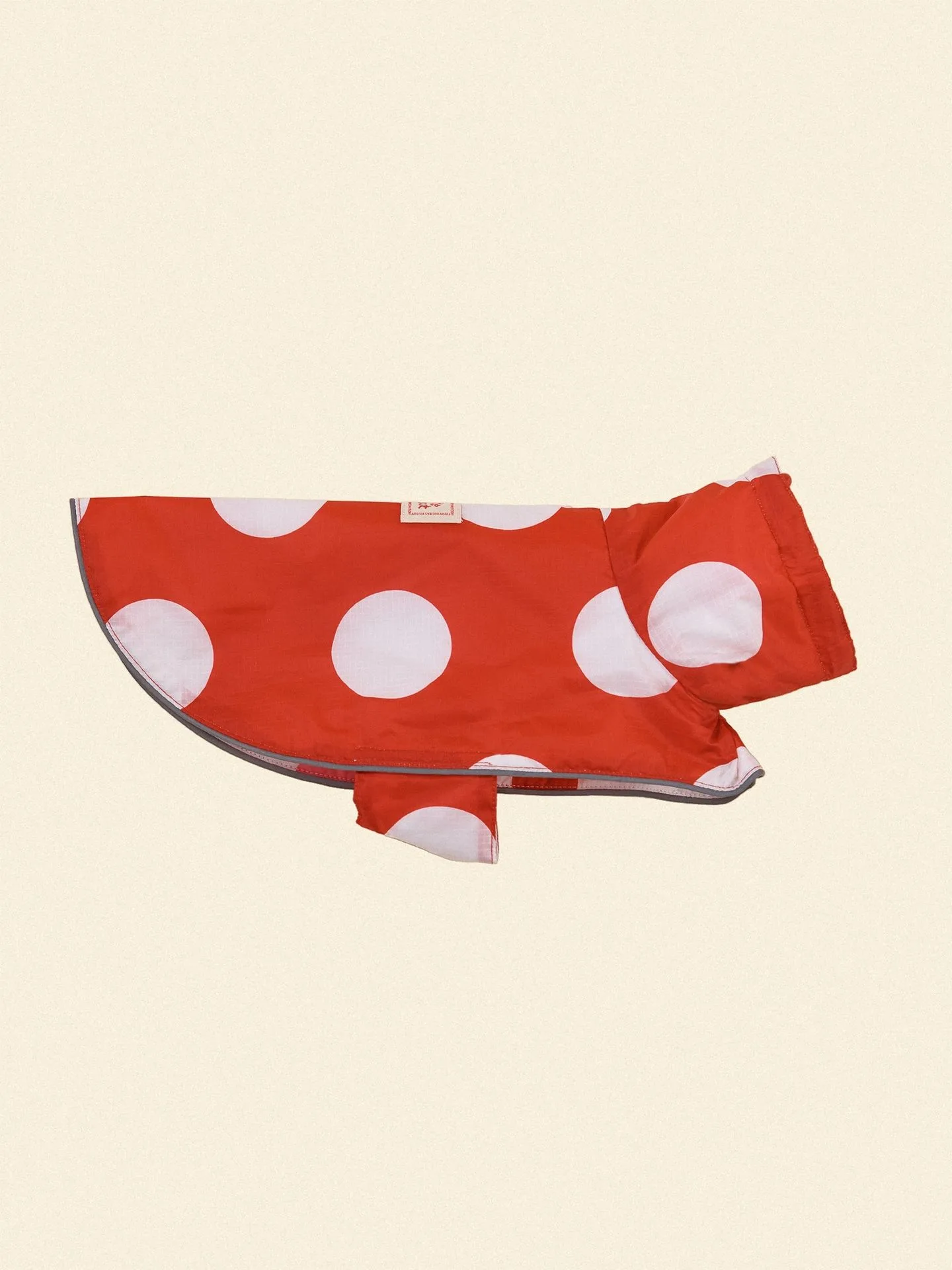 How to Choose the Best Dog Raincoat: From Ladybug Raincoat Styles to Waterproof Protection