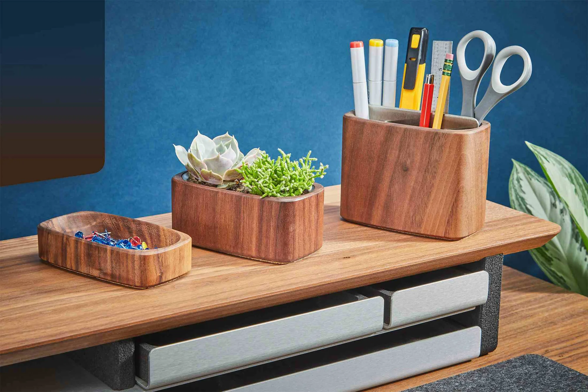 Wood Dish