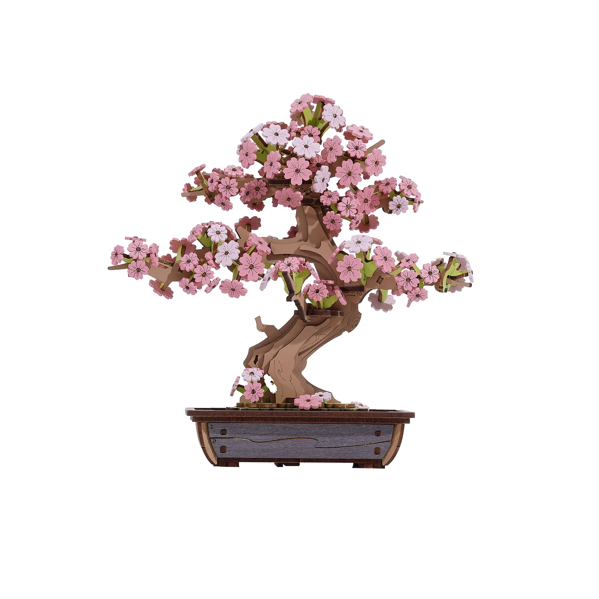 ハンズクラフト | 桜盆栽