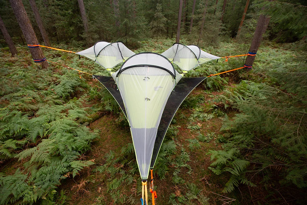 Tente dans les arbres vs hamac au sol : comment choisir votre abri suspendu