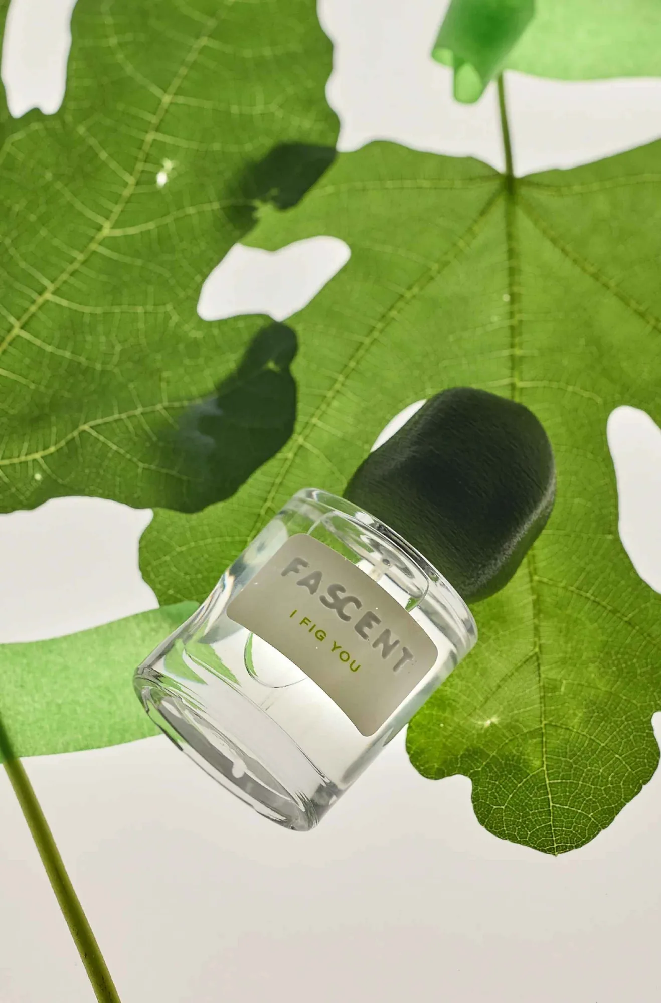 How to Choose a Perfume for Different Occasions: From Day to Night