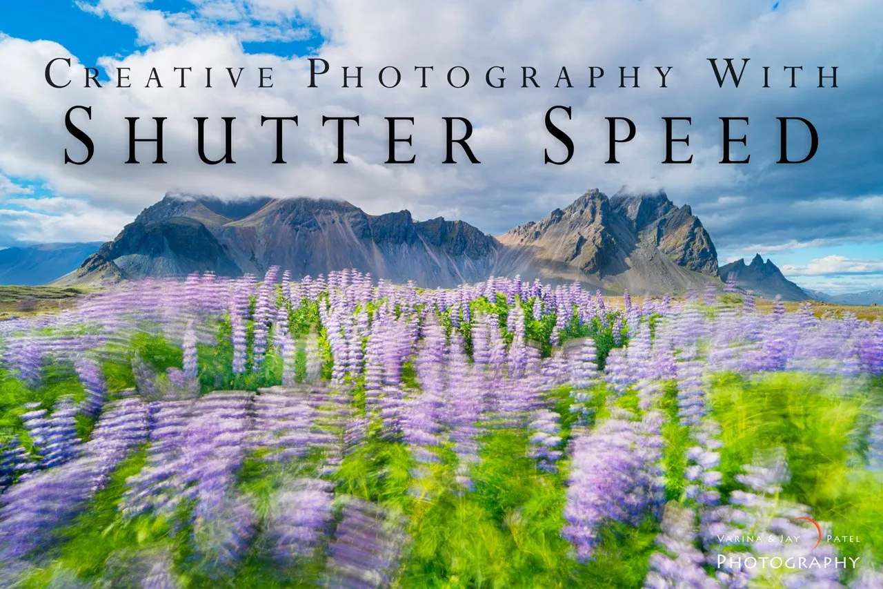 Create Impact with B&W Processing: Common Myths Busted