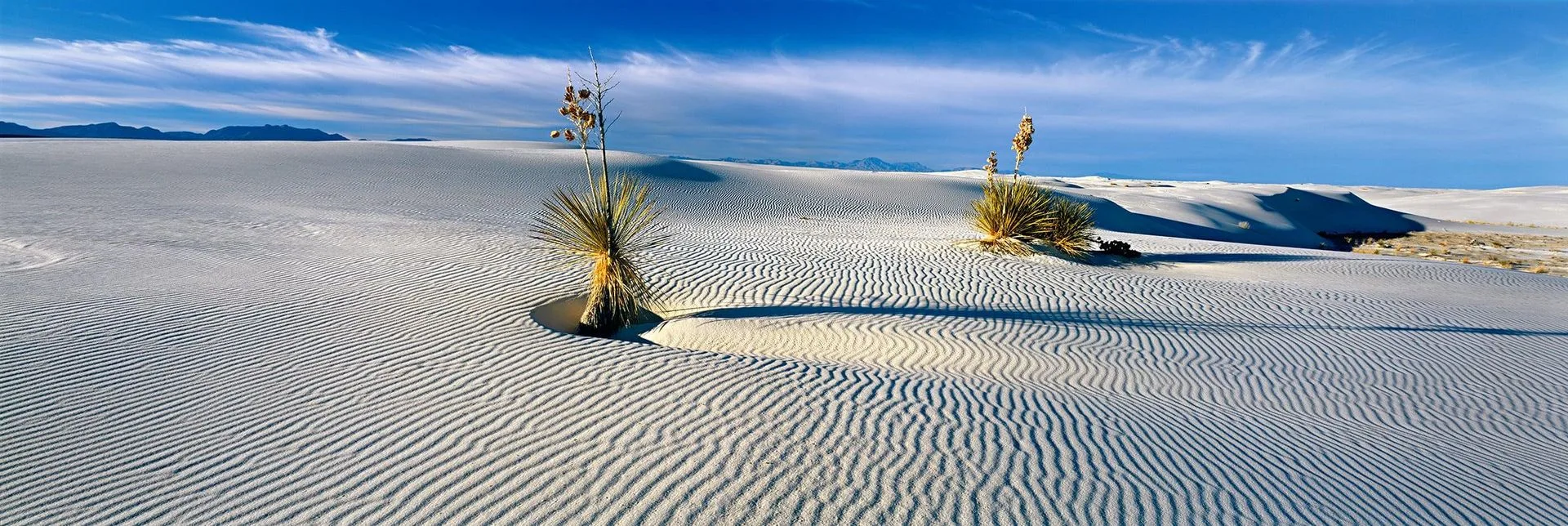Keep Your Home Gallery Fresh: Seasonal Rotation Tips for Peter Lik Fine Art