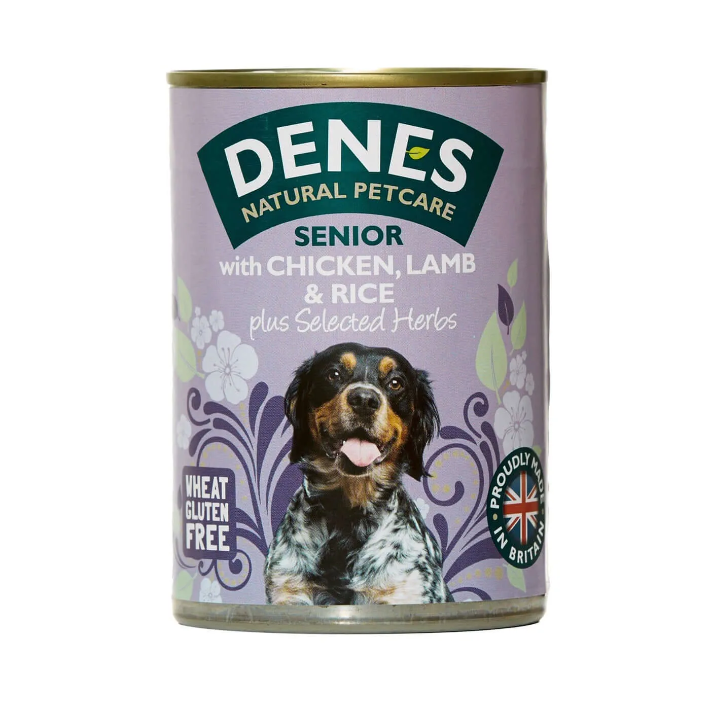 Senior Dog Food for Sensitive Digestion: What to Feed