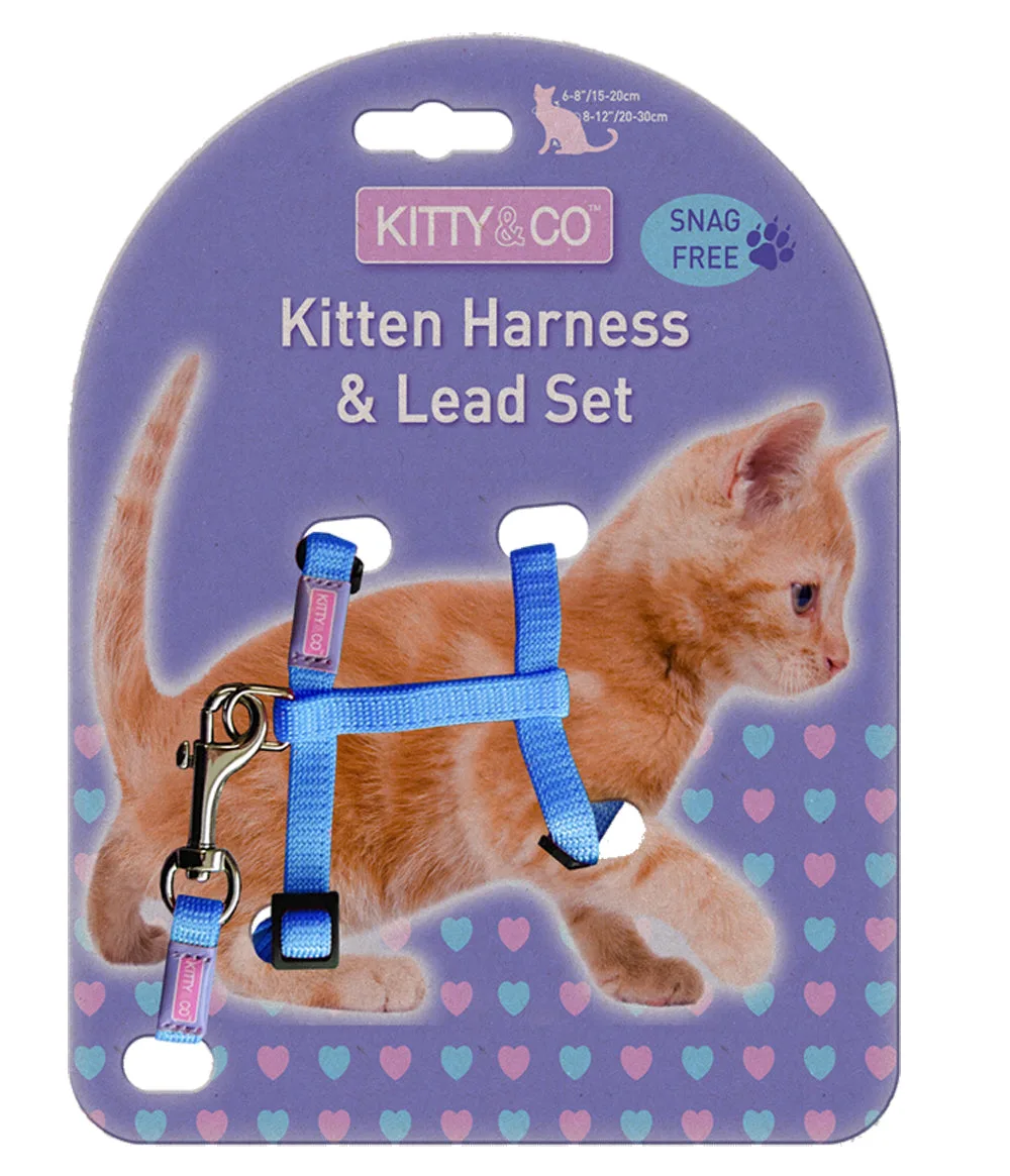 How to Choose a Cat Harness and Lead Set