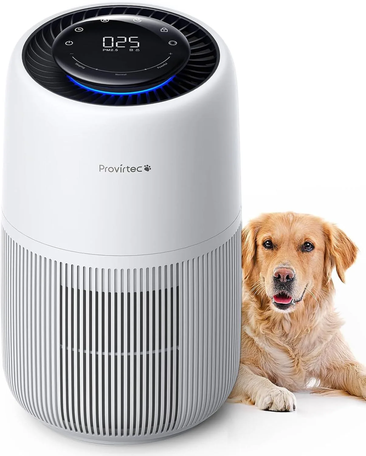 How to Remove Pet Odors from Your Home: Air Purifiers and Cleaning