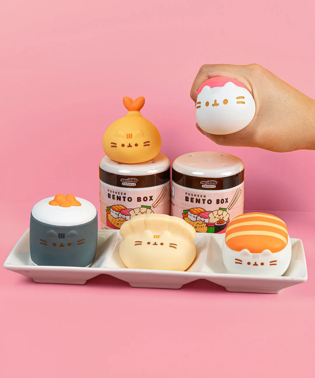 Pusheen Bento Box Surprise Squishy: What to Expect Before You Buy