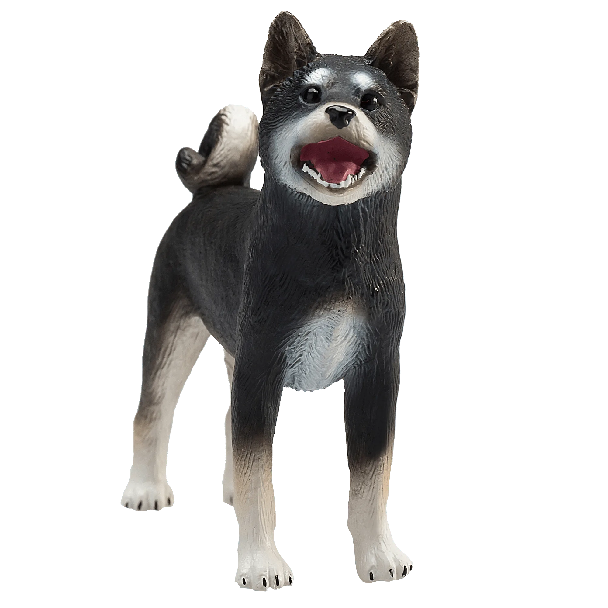 Shiba Inu Black Figure steht nicht: Häufige Lösungen