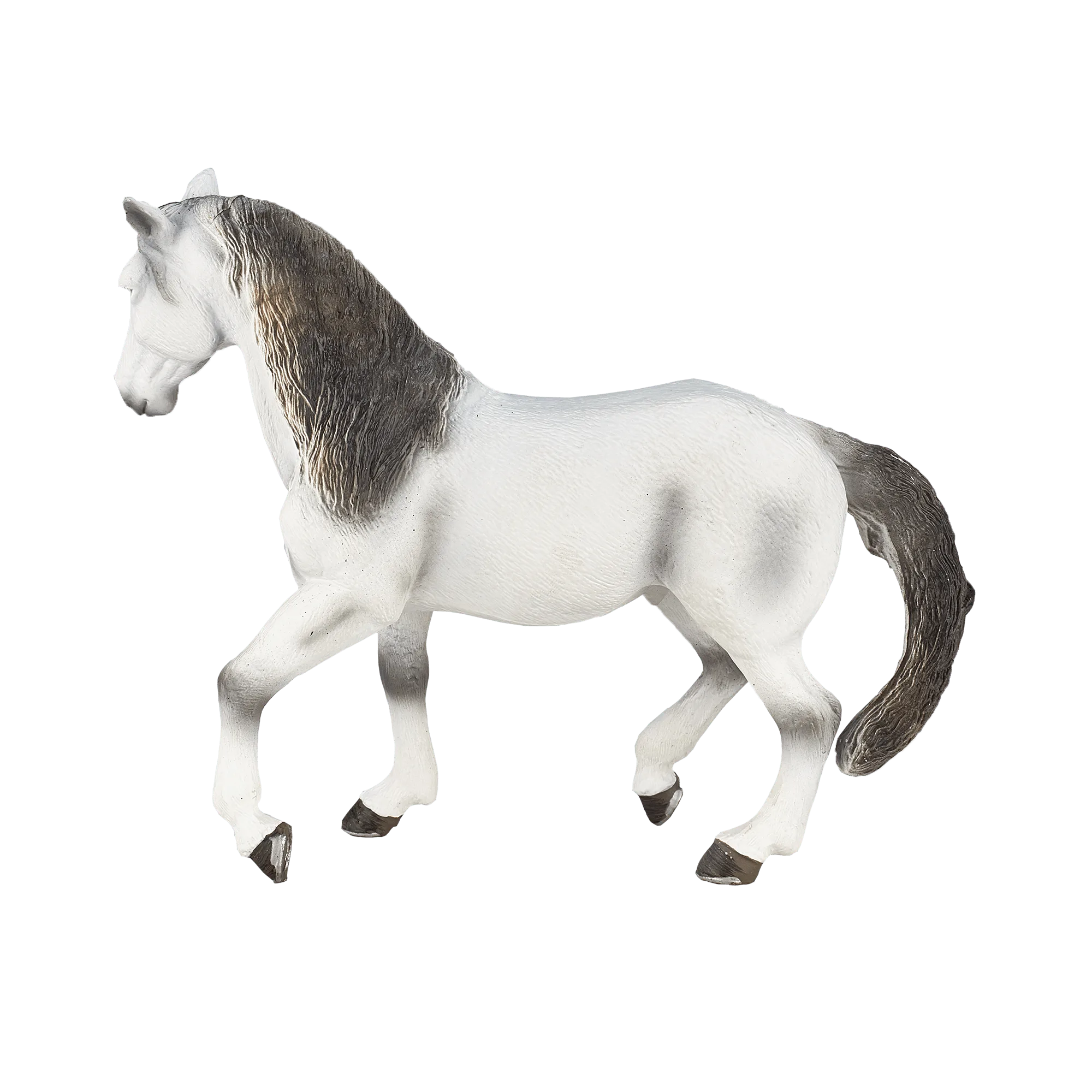 Andalusian Grey