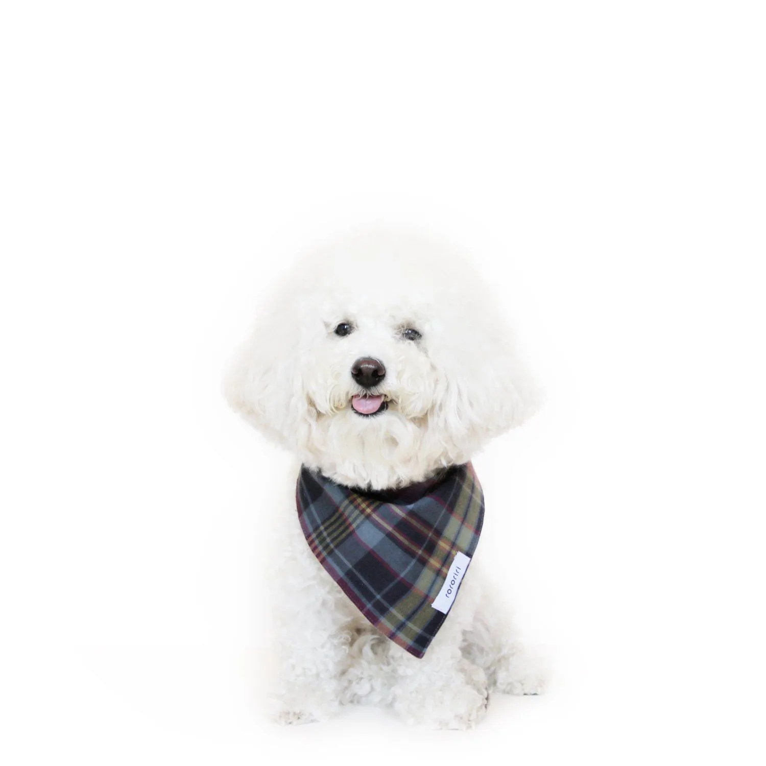 The Rise of Personalized Dog Accessories: Custom Bandanas and Leashes in 2025