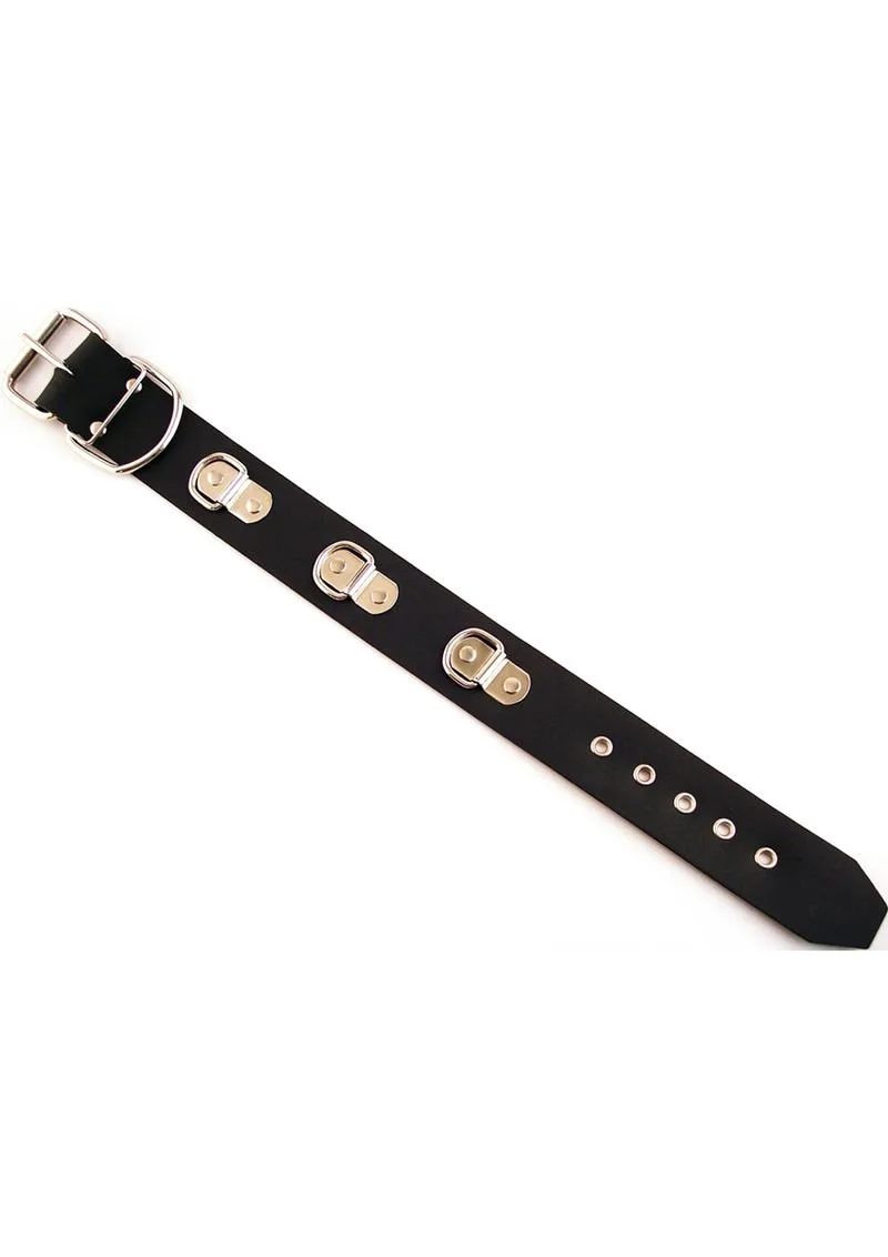 Das richtige Halsband und die richtige Leine für Ihr Spiel