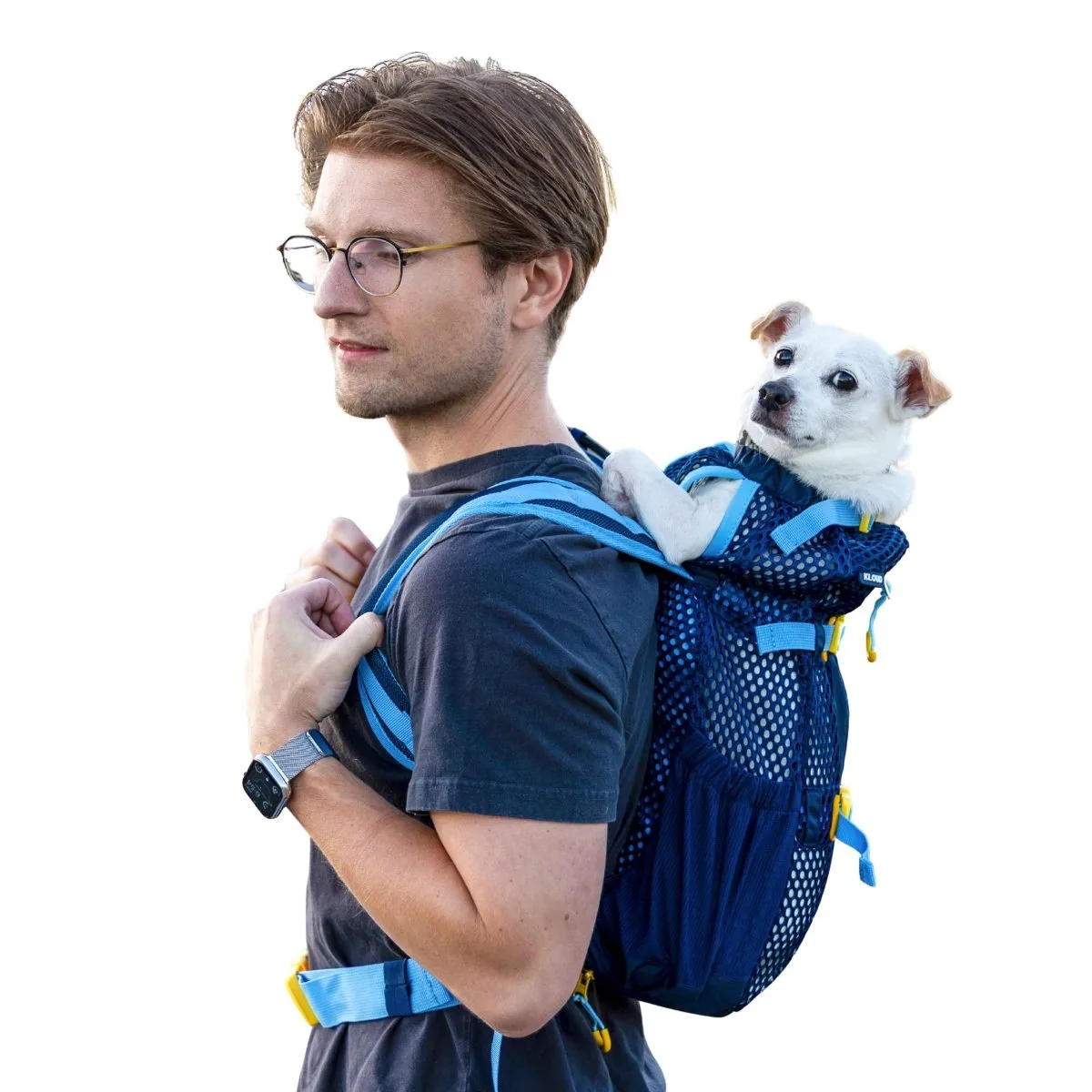 How to Safely Use a K9 Sport Sack with Puppies: Age, Weight, and Training Tips