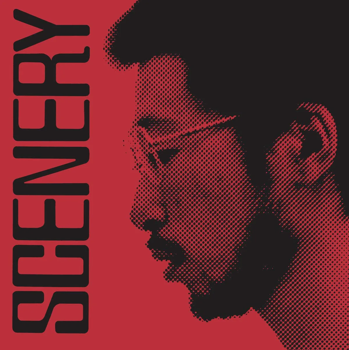 Ryo Fukui – Scenery Vinilo
