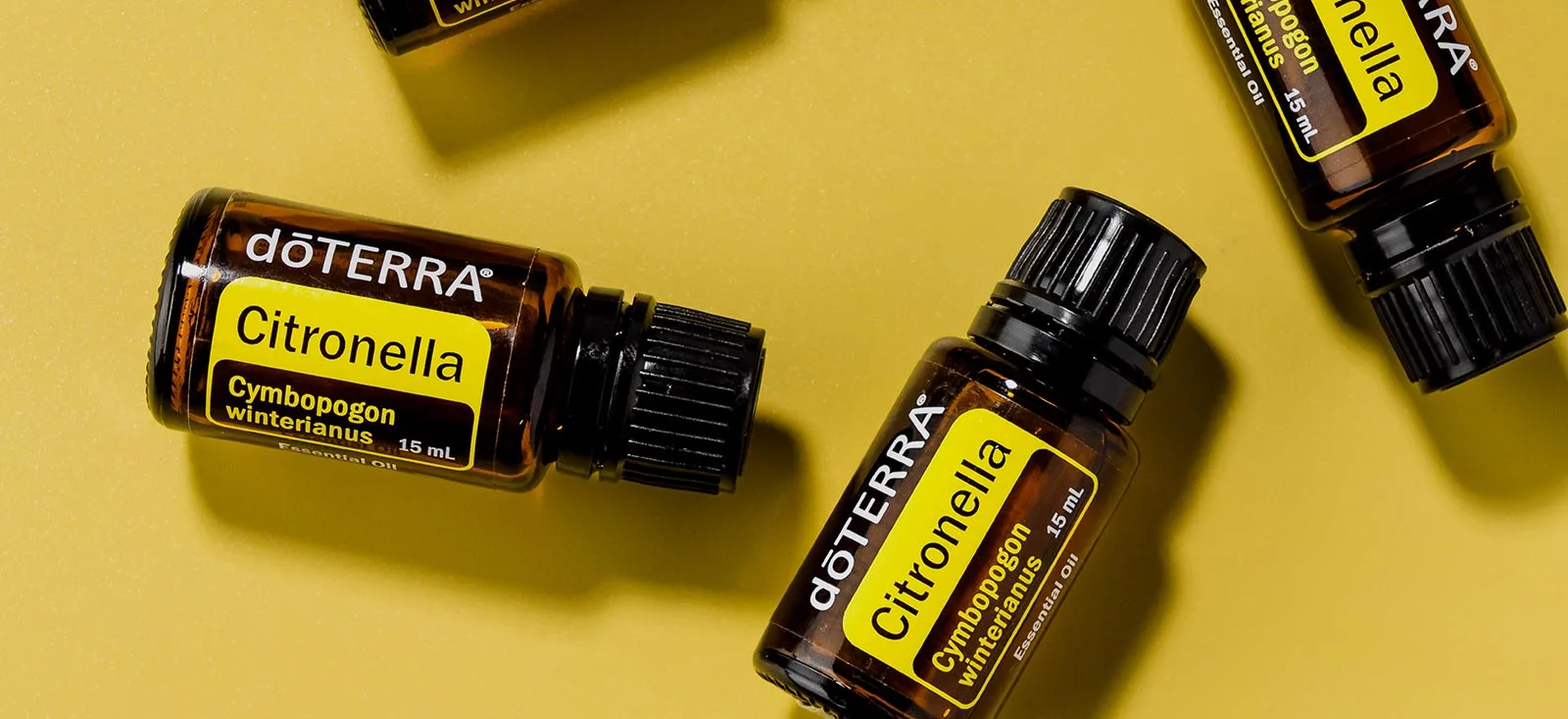 Olio Essenziale di Citronella