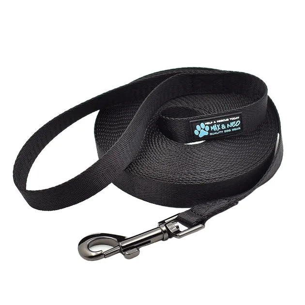 How to Use a Long Recall Training Leash to Teach Your Dog Reliable Off-Leash Skills