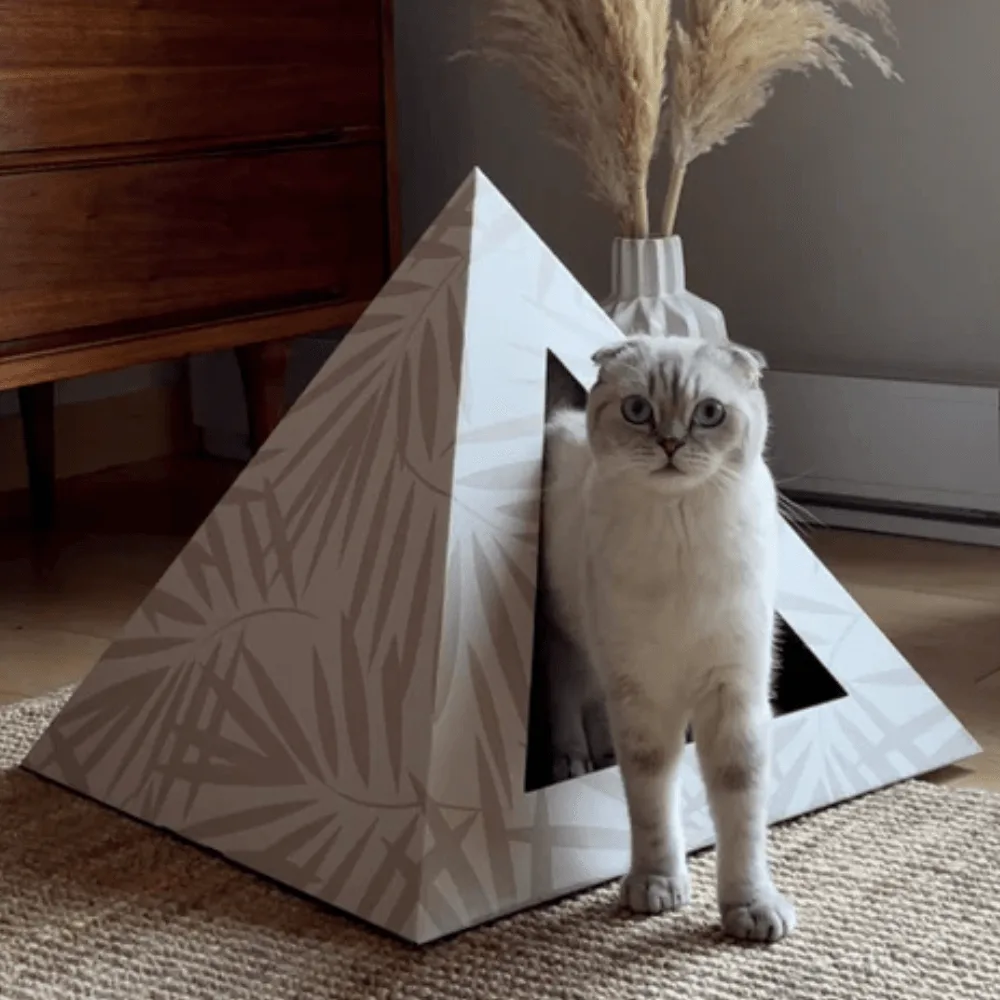 Cardboard Cat Pyramid vs Cat Cave: Which Suits Your Cat?