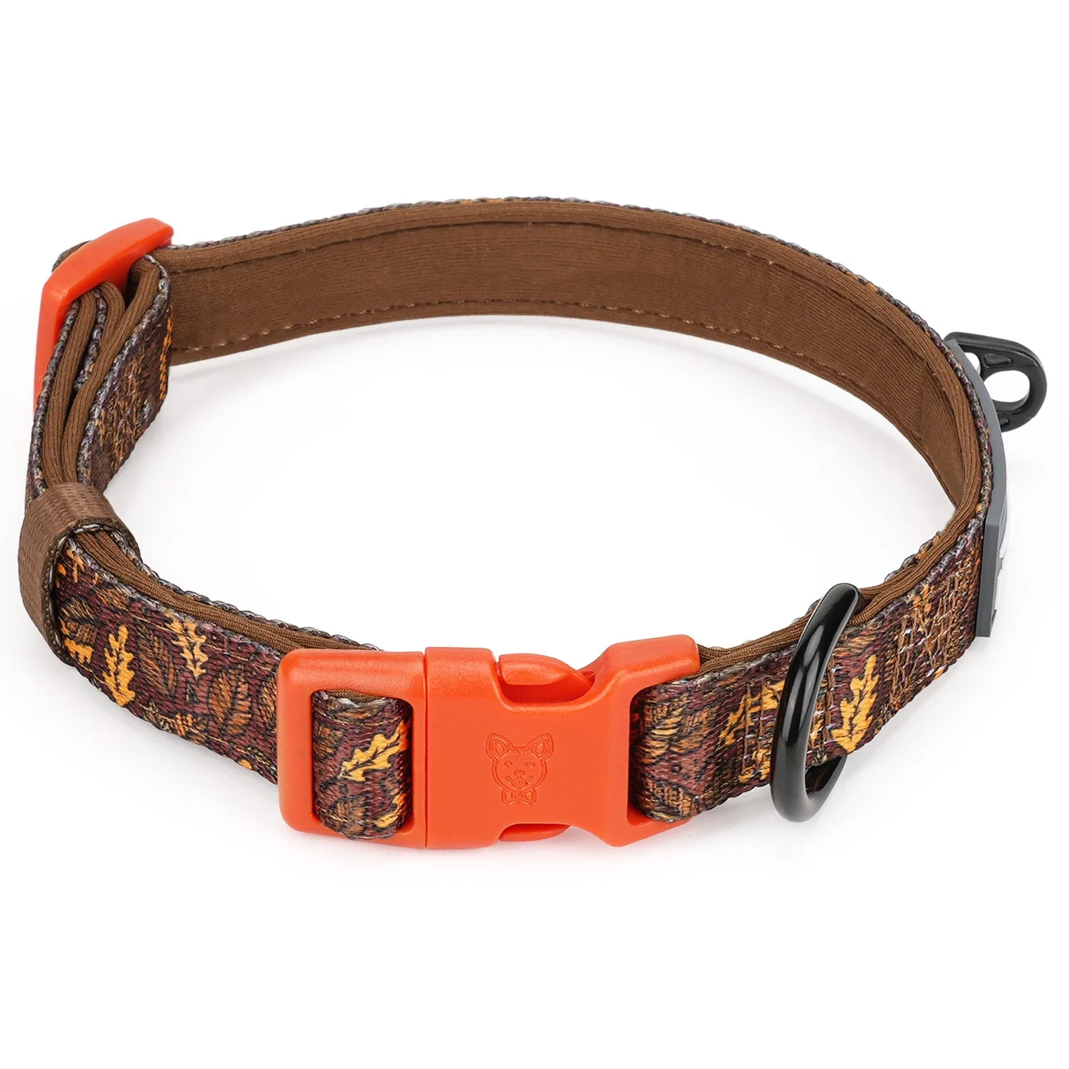 Autumn Vibes Dog Collar