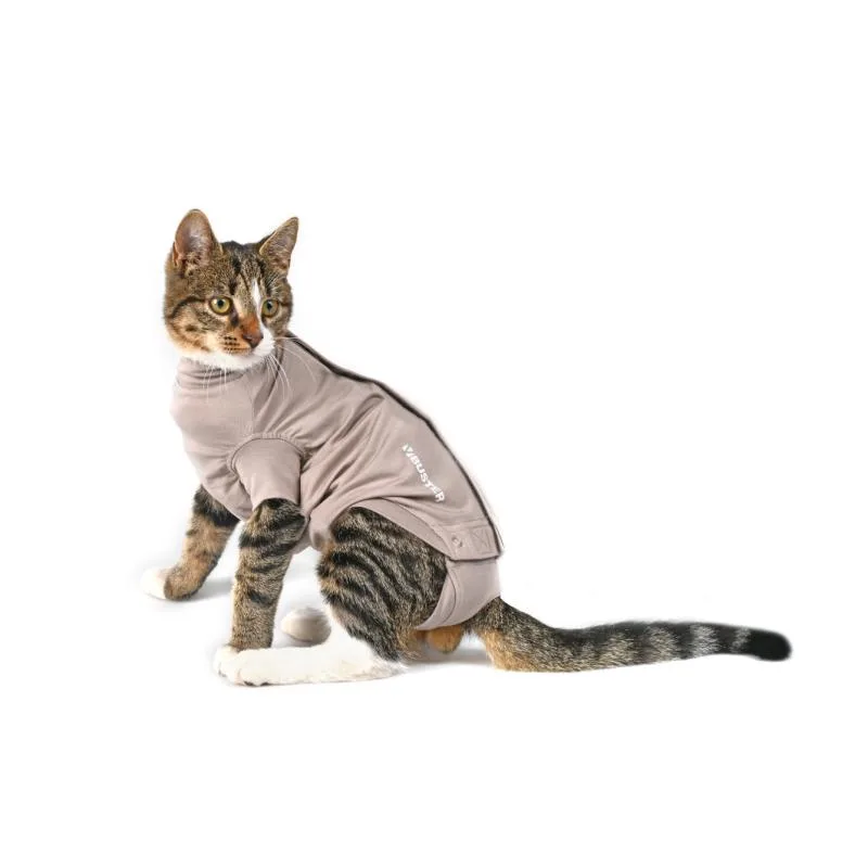 Why Choose a Body Suit for Your Cat