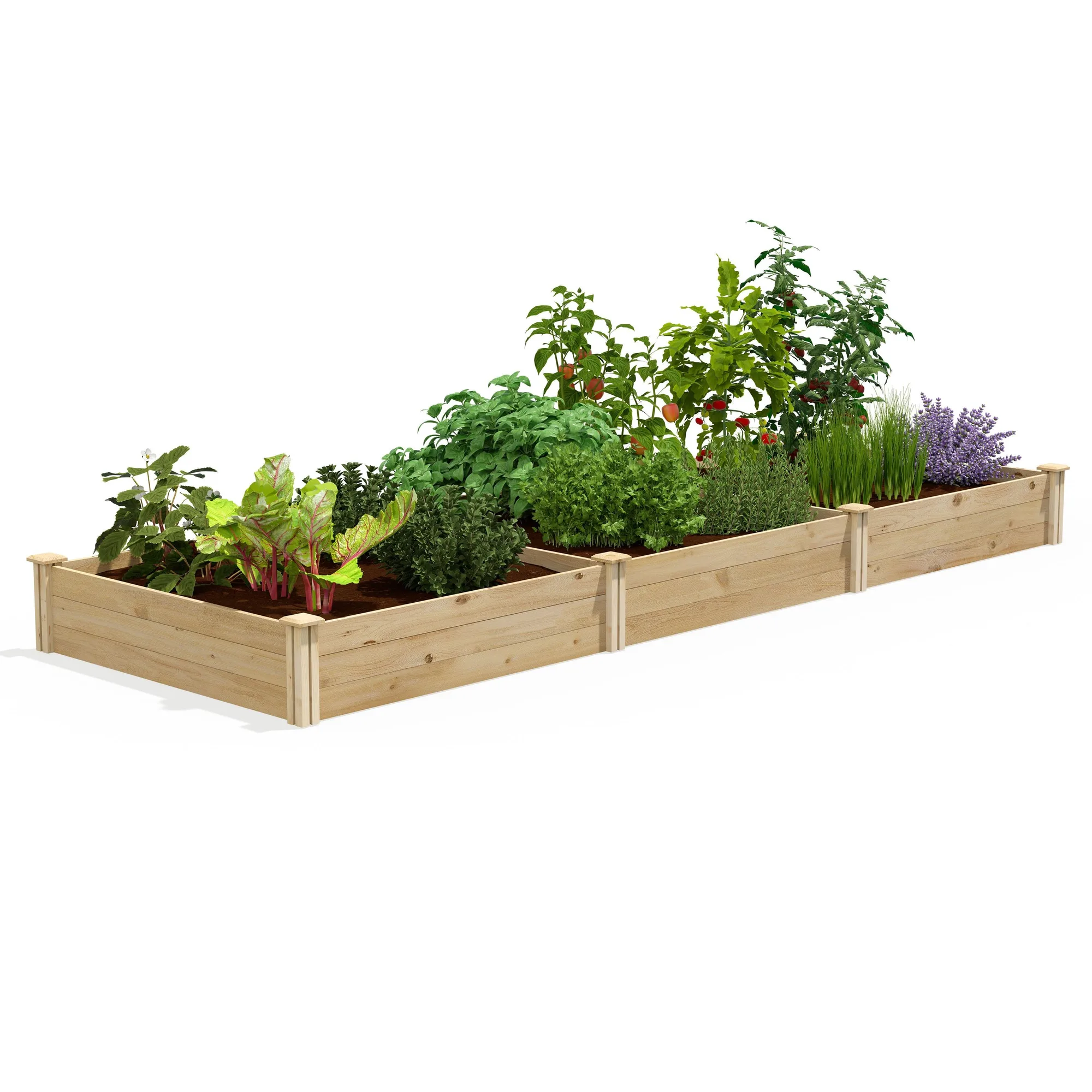 Hochbeet aus Zedernholz 4x12: Pflanzplan
