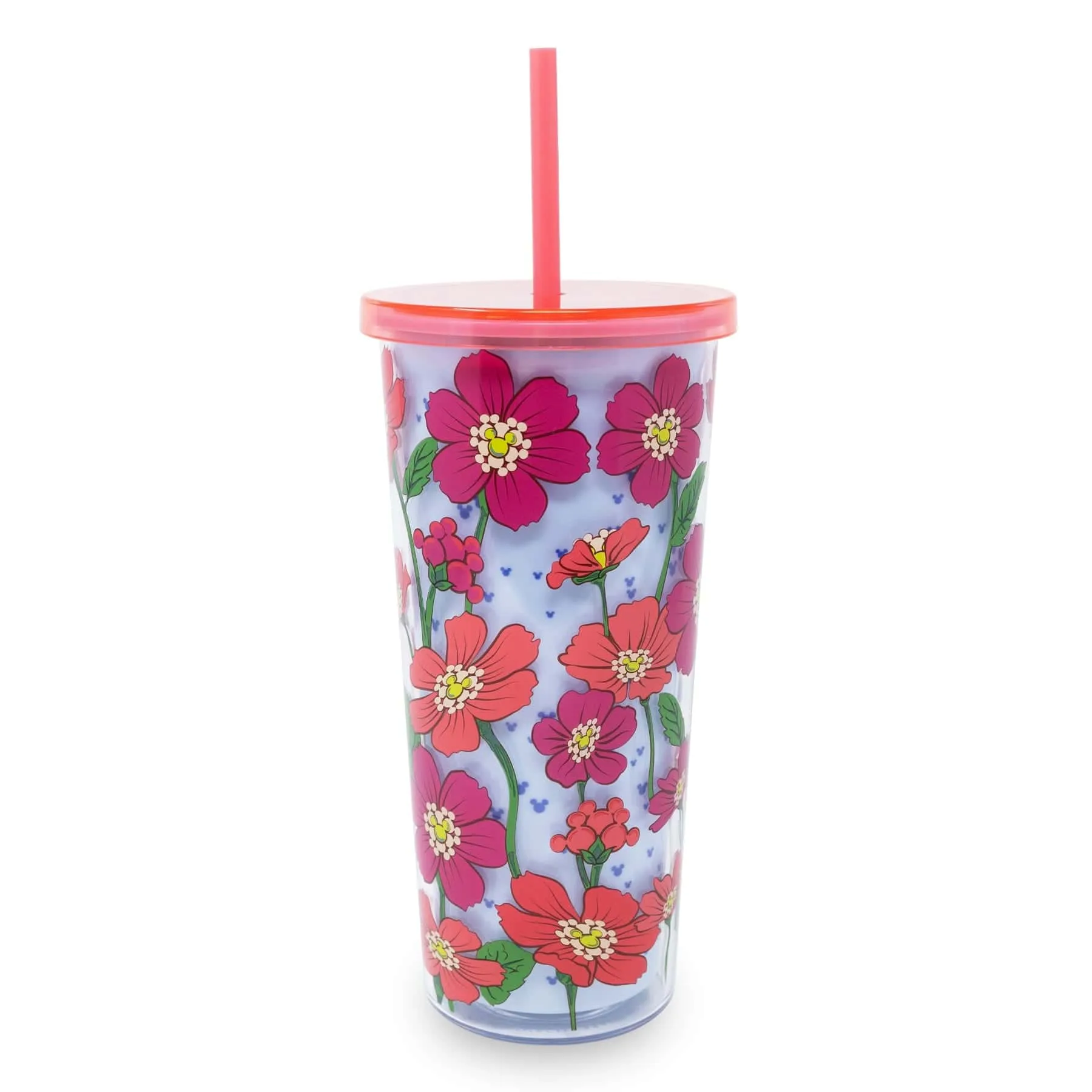 Disney Tumbler with Straw