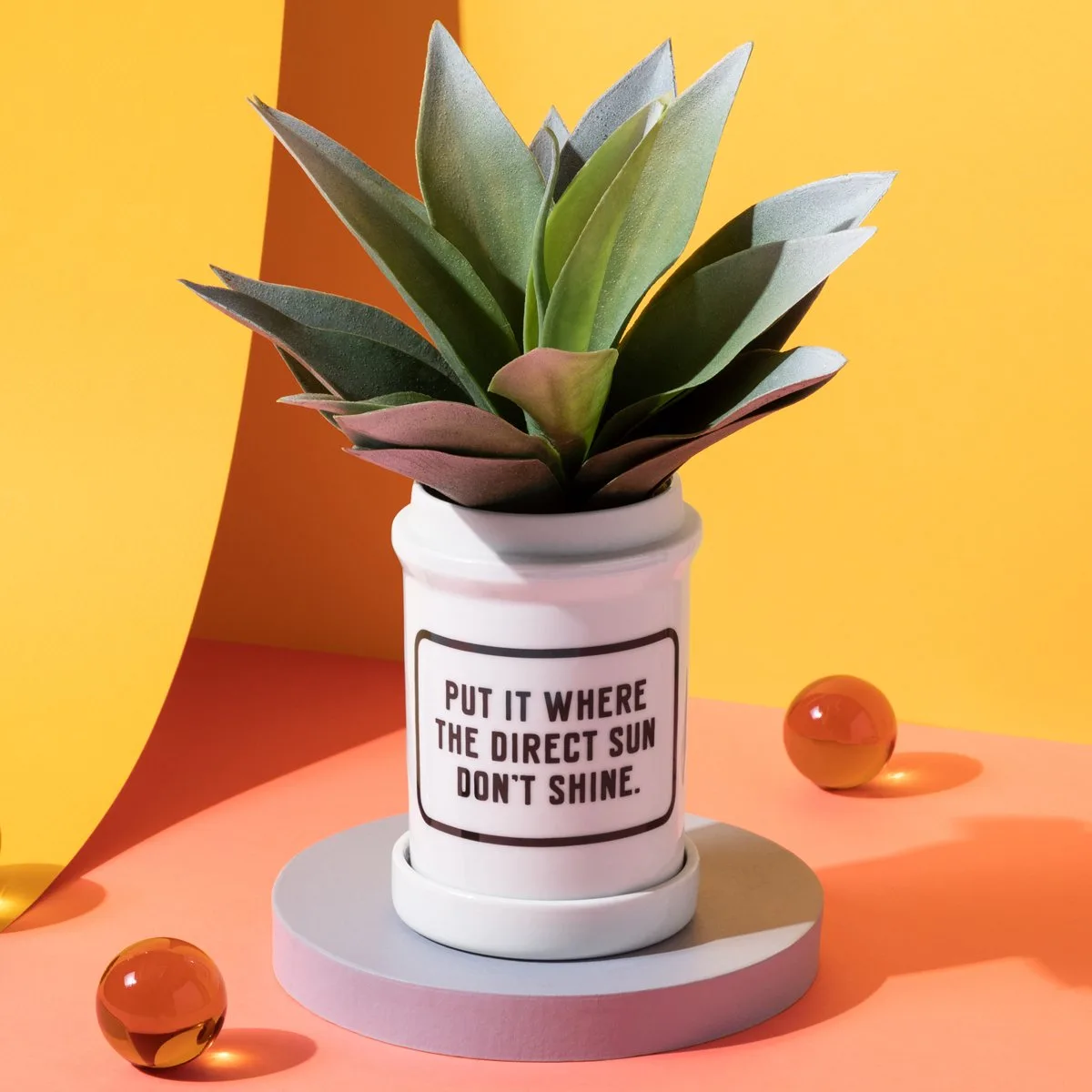 How to Use a Planter with Drip Tray Indoors