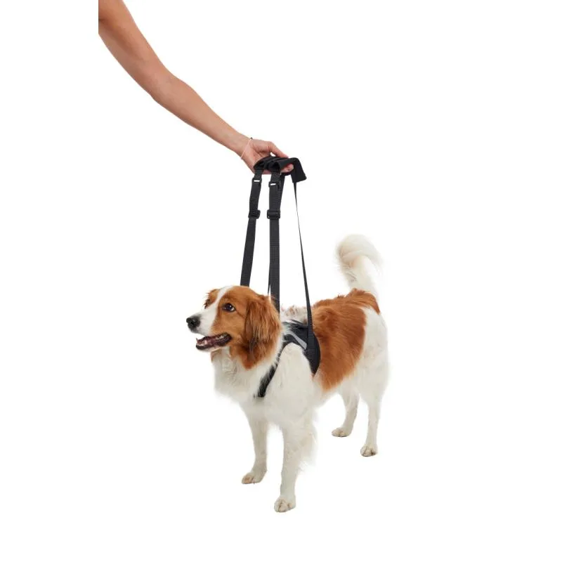 KRUUSE Rehab Lifting Harness Front Legs