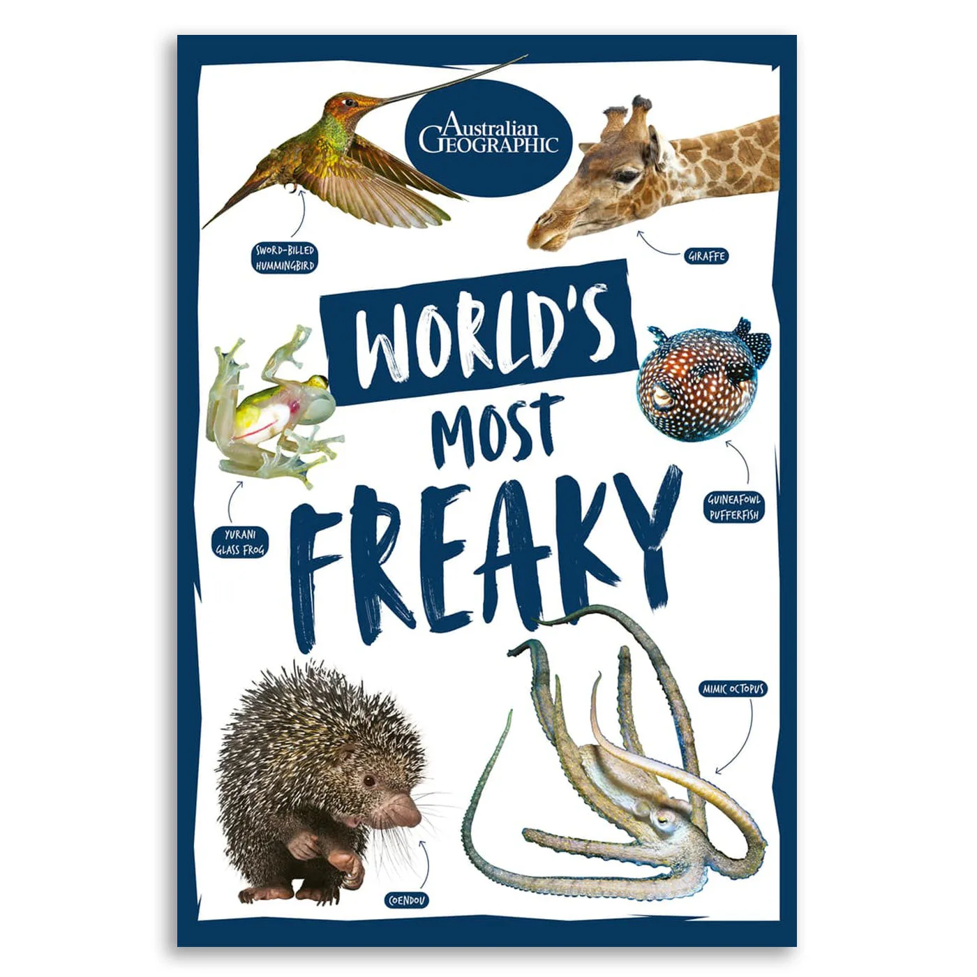 World's Most Freaky