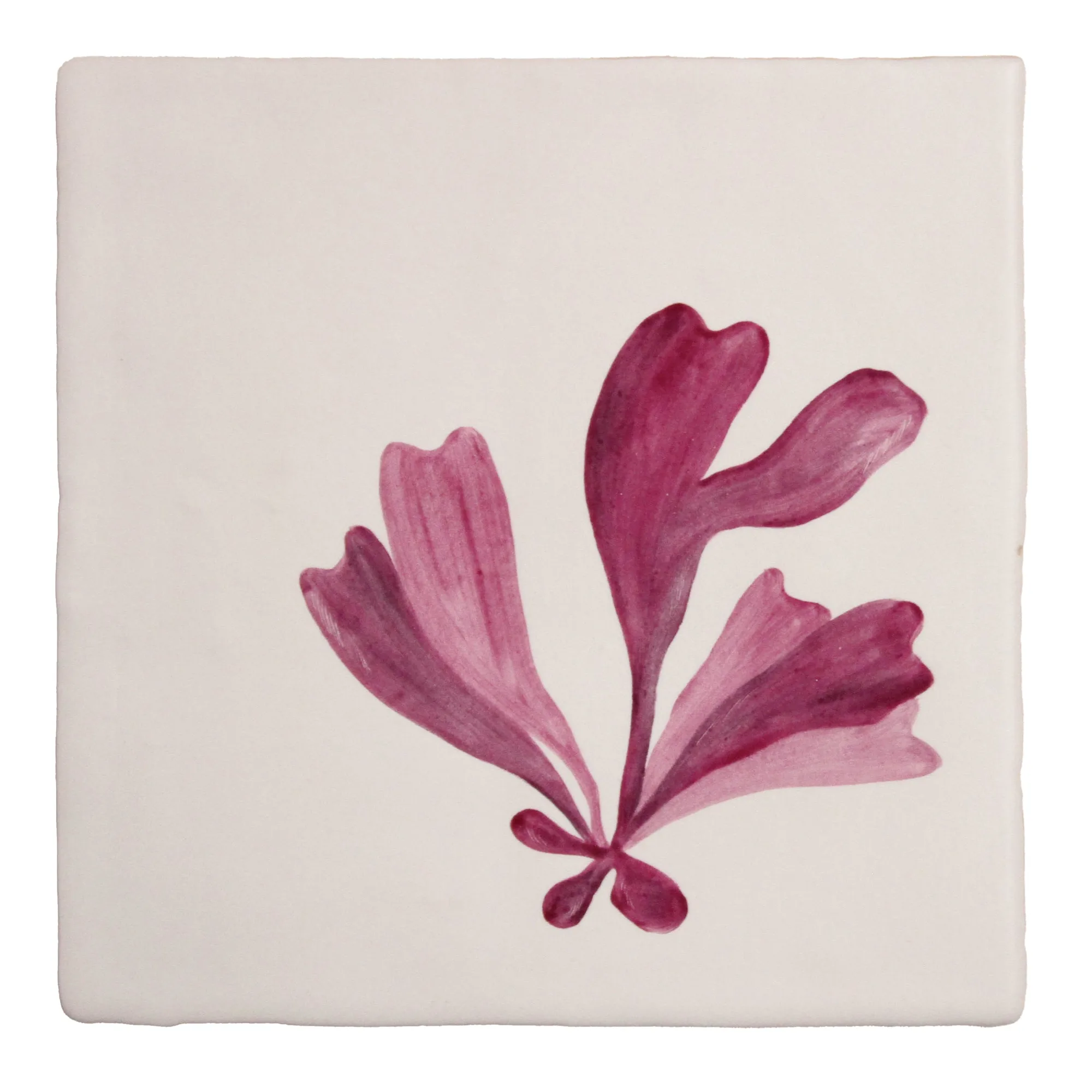 How to Clean and Maintain Dulse Seaweed Wall Tiles