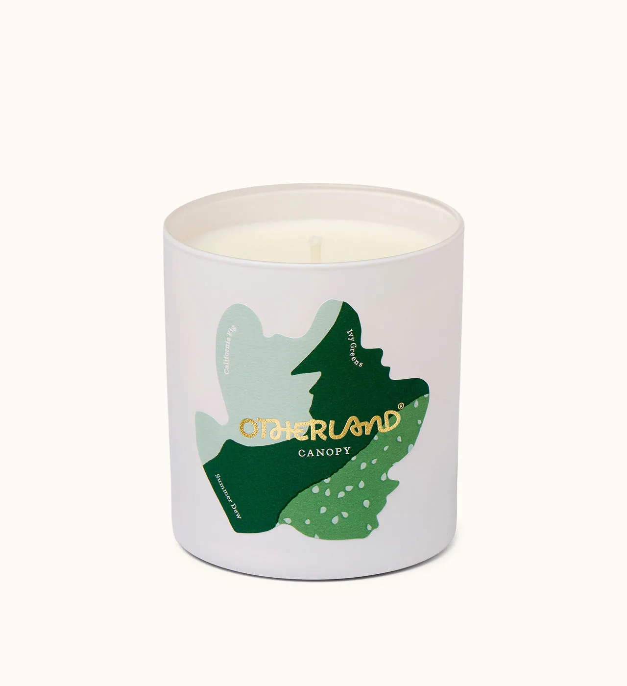 Verdant Verve vs. Canopy: Which Fresh Scent Candle Wins?