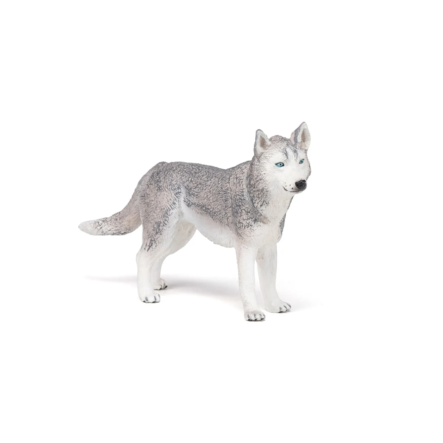 Figurine Husky de Sibérie