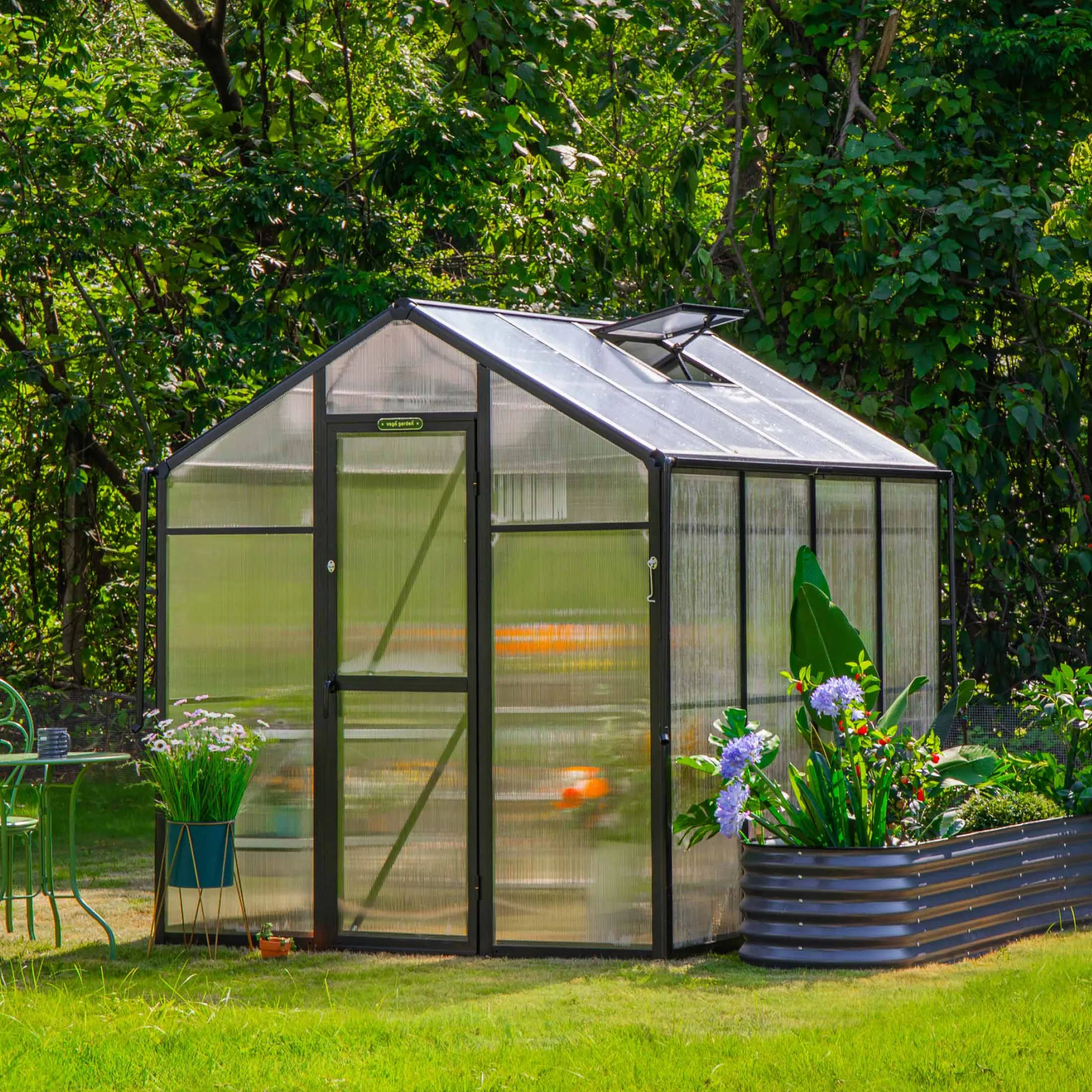How to Pick the Right Greenhouse Width for Your Garden