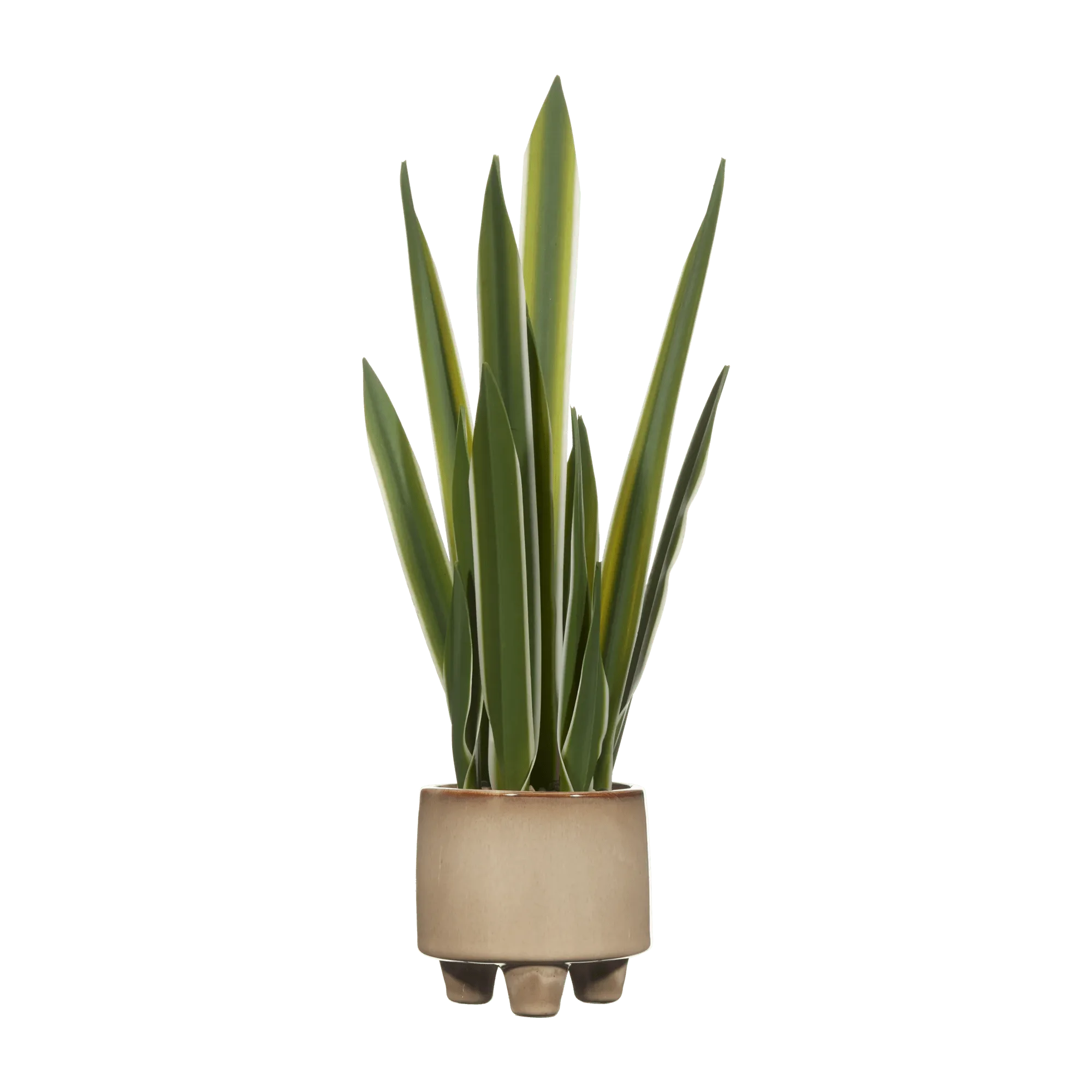 Foglia di yucca artificiale o pianta artificiale: cosa comprare?