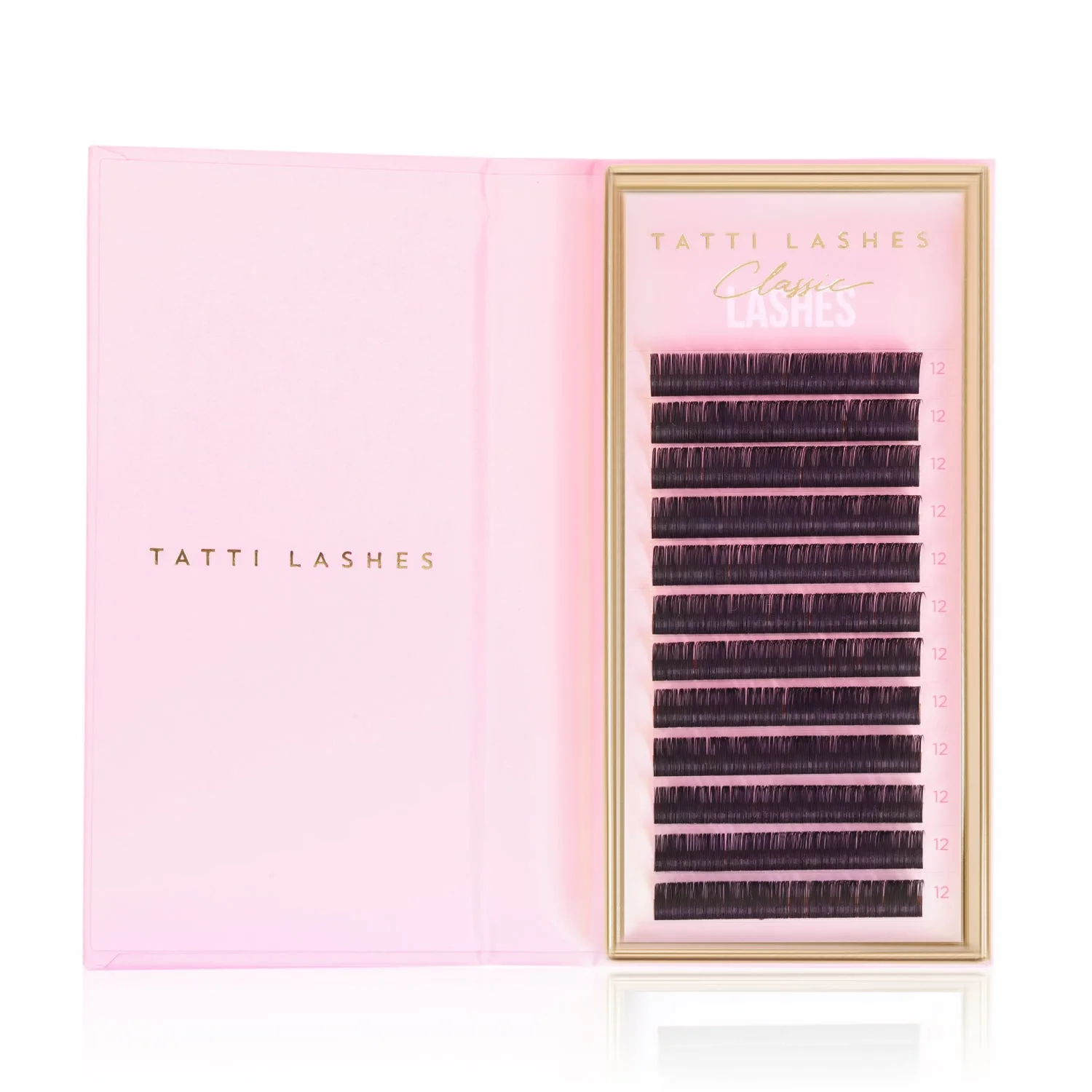 The Best Lash Trays for Volume Lashes: A Buyer's Guide