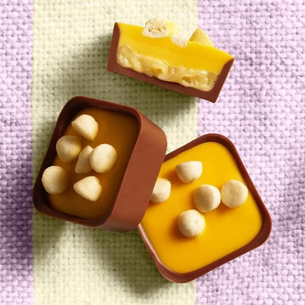 Hotel Chocolat Boxes Compared: Which Best-Selling Selection Suits You?